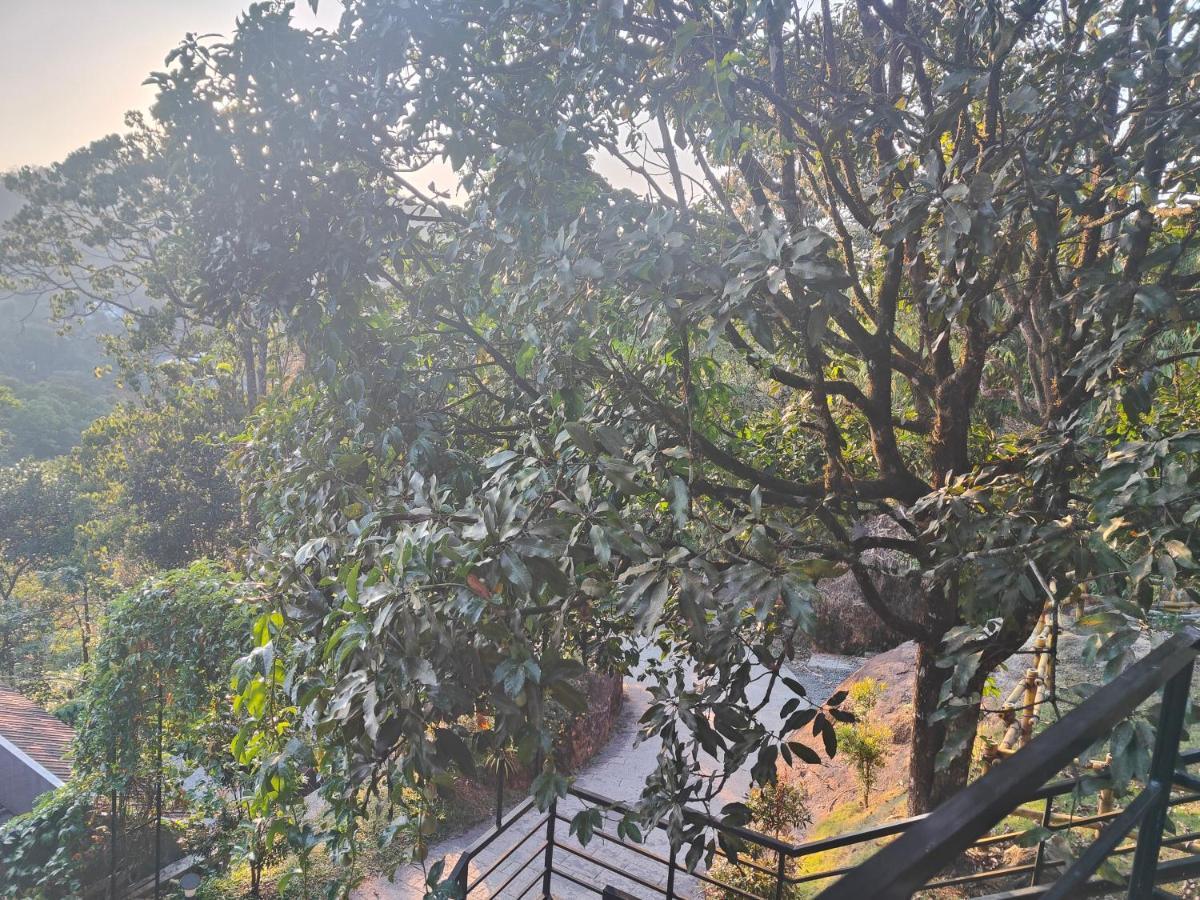 Hotel The Wild Trails Clarks Exotica , Munnar Exteriér fotografie